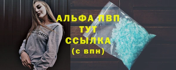 ПСИЛОЦИБИНОВЫЕ ГРИБЫ Козловка