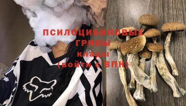 ПСИЛОЦИБИНОВЫЕ ГРИБЫ Козловка