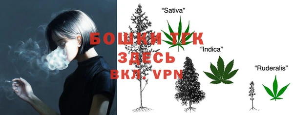 ПСИЛОЦИБИНОВЫЕ ГРИБЫ Козловка