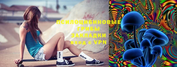 ПСИЛОЦИБИНОВЫЕ ГРИБЫ Козловка