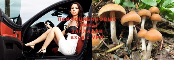 не бодяженный Козельск