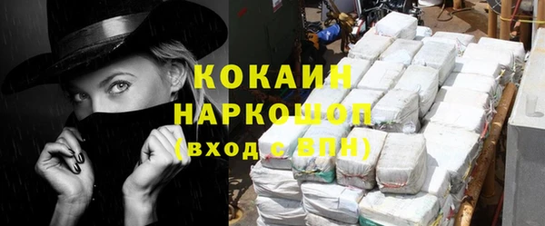 ПСИЛОЦИБИНОВЫЕ ГРИБЫ Козловка