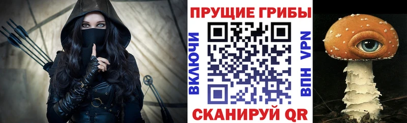 Купить закладки  Бор  Псилоцибиновые грибы ЛСД 